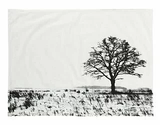 space one a flat tree